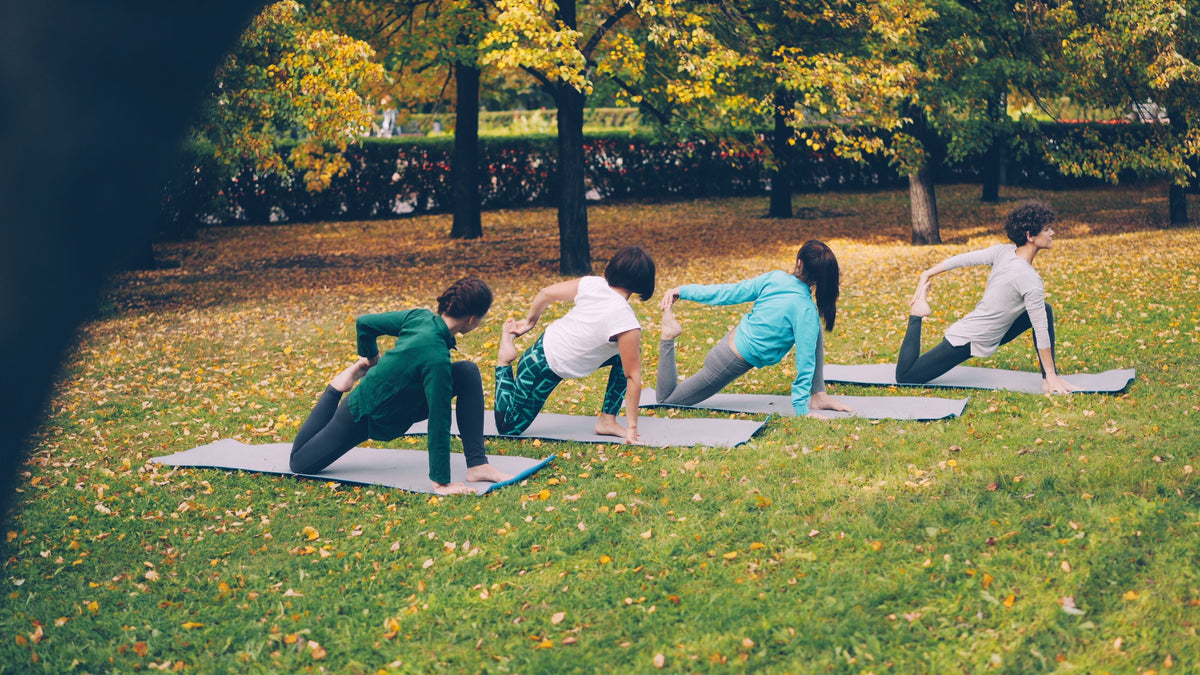Fall Into Wellness: How to Build a Healthy Routine Before the Holiday Season
