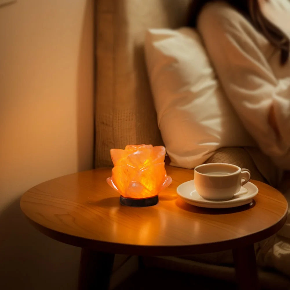 Himalayan Salt Lamp LED Bedside Night Light