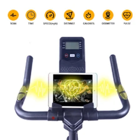 Indoor Stationary Spin Bike with LCD Monitor & Cushioned Seat
