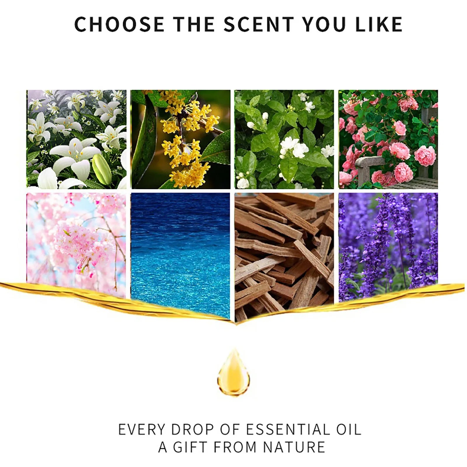 Flower & Fruit Essential Oil – Water-Soluble Aromatherapy for Diffusers